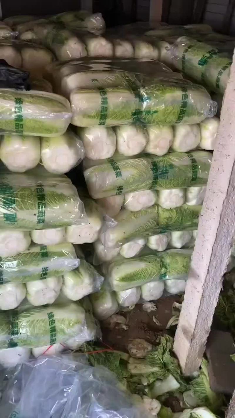 河北省昌黎县北京三号大白菜大量供应需要的老板随时联系