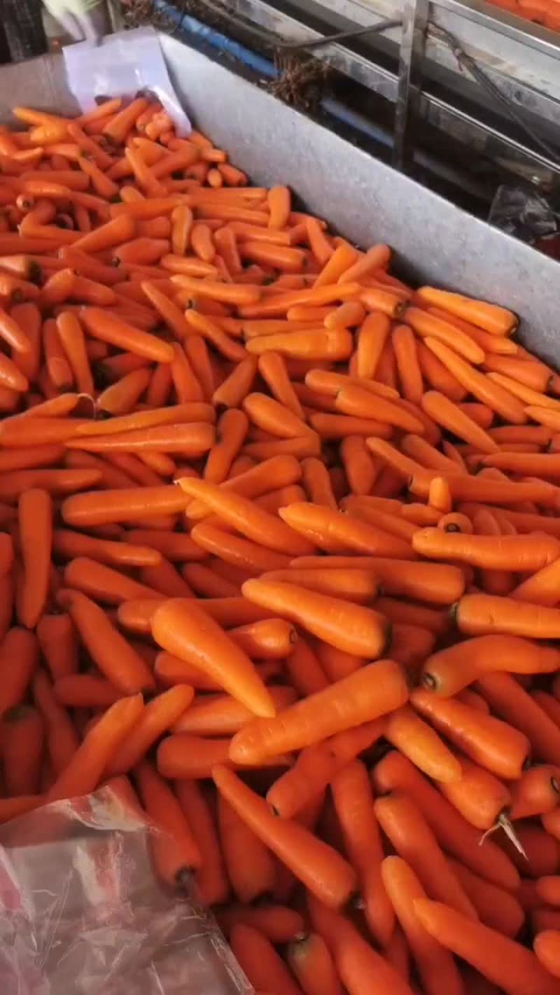 胡萝卜