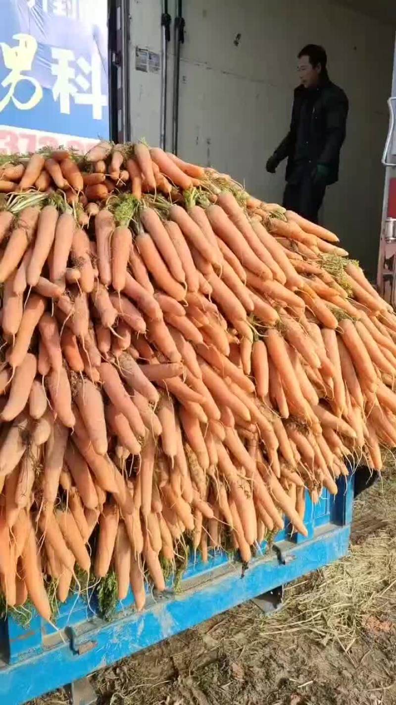 胡萝卜