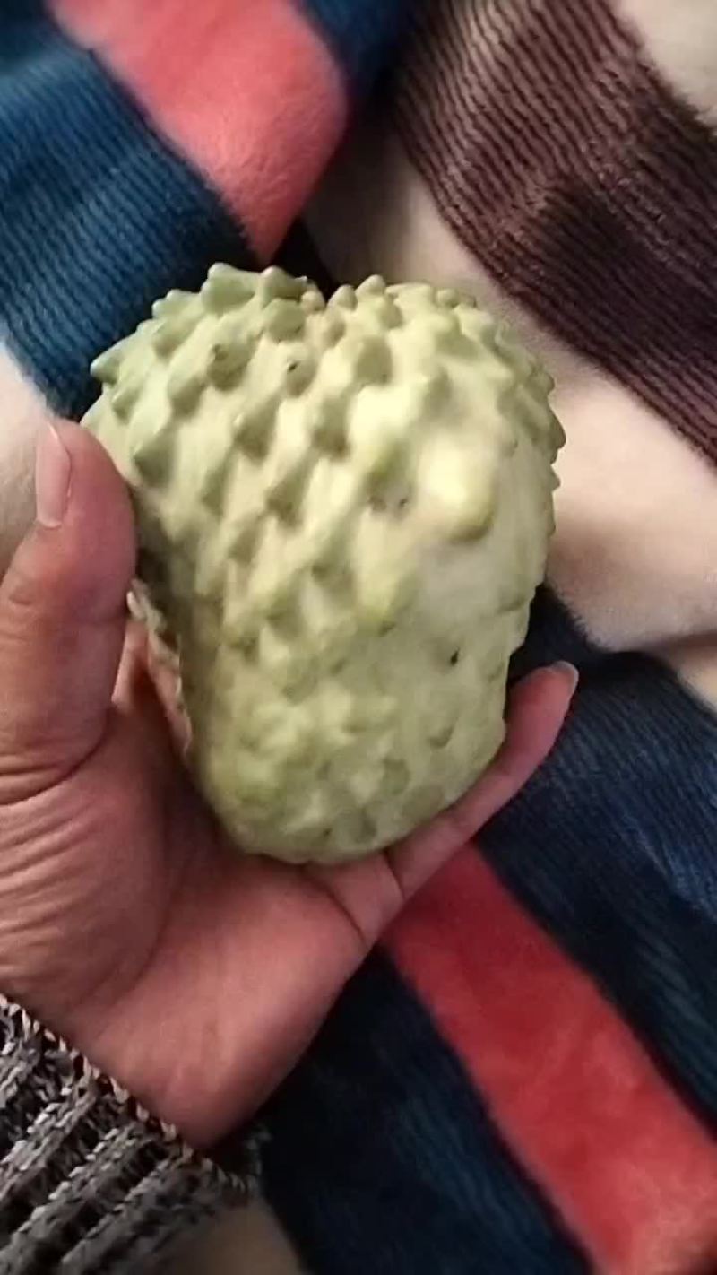 释迦果