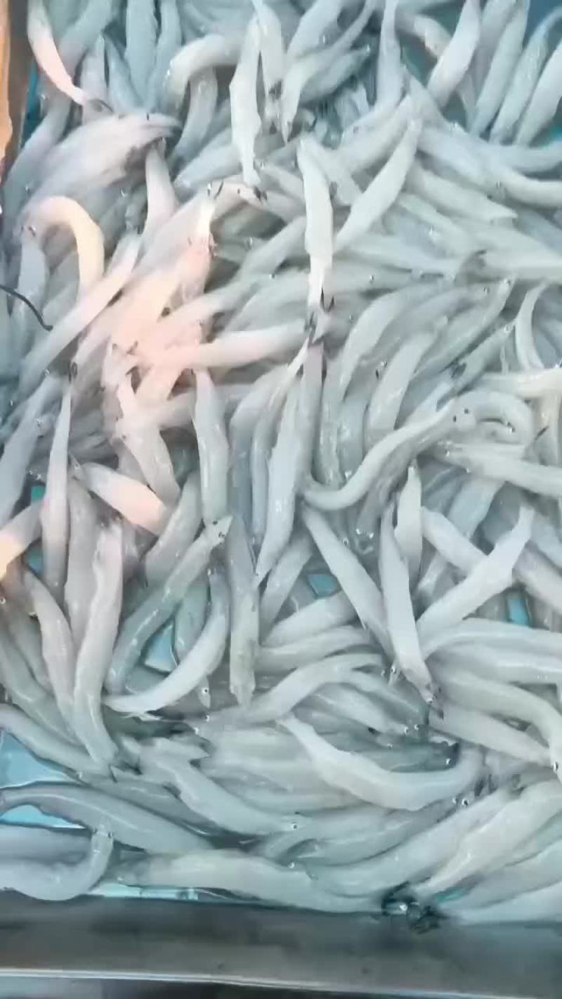 解冻净重。