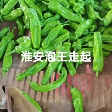 精品薄皮椒芜湖椒
