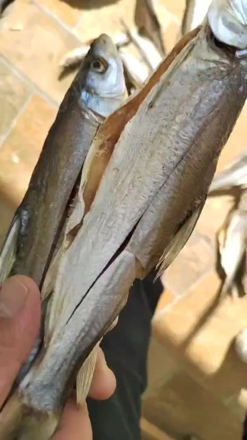 风干红尾鱼欢迎下单