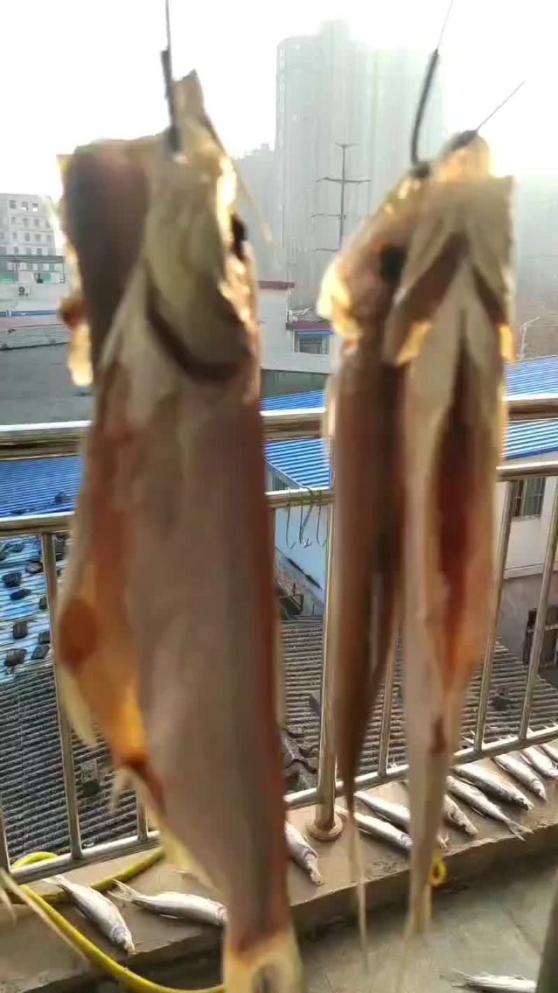 风干红尾鱼欢迎下单