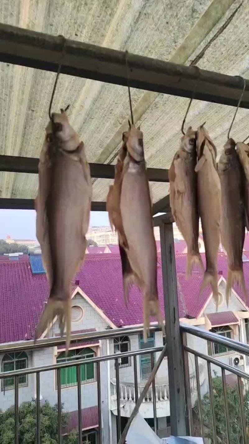 风干红尾鱼欢迎下单
