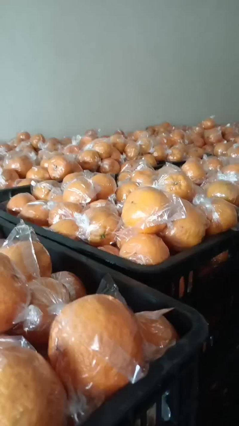 椪柑60起，需要的可以骚扰，代办