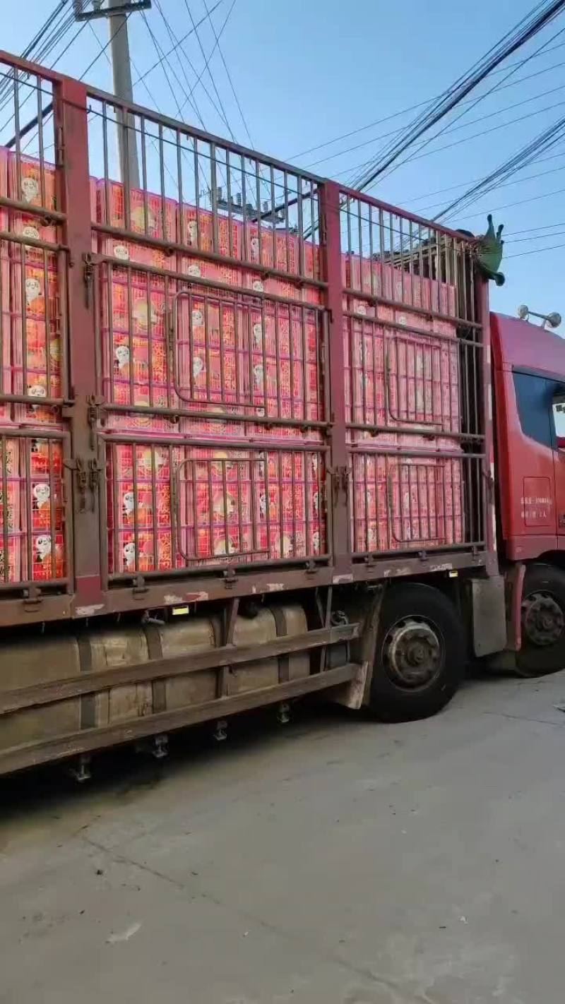 【老客回购】碰柑基地直发大宗批发协助找车包售后