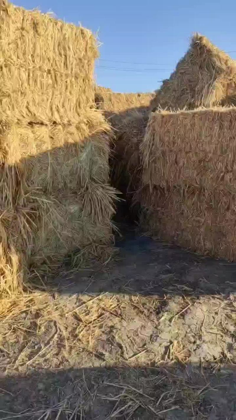 大包稻草柔丝货好价格美丽