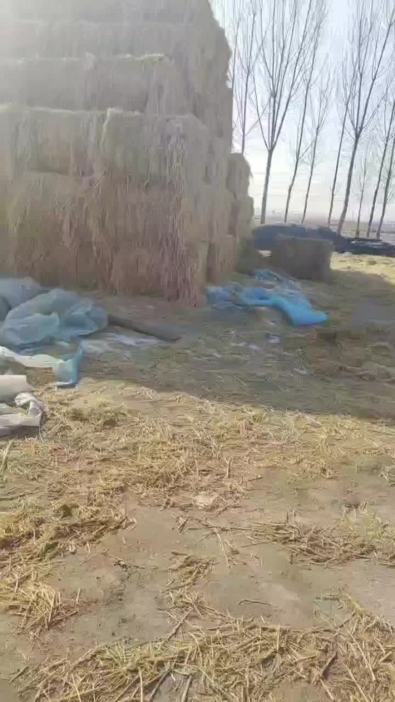 大包稻草柔丝货好价格美丽