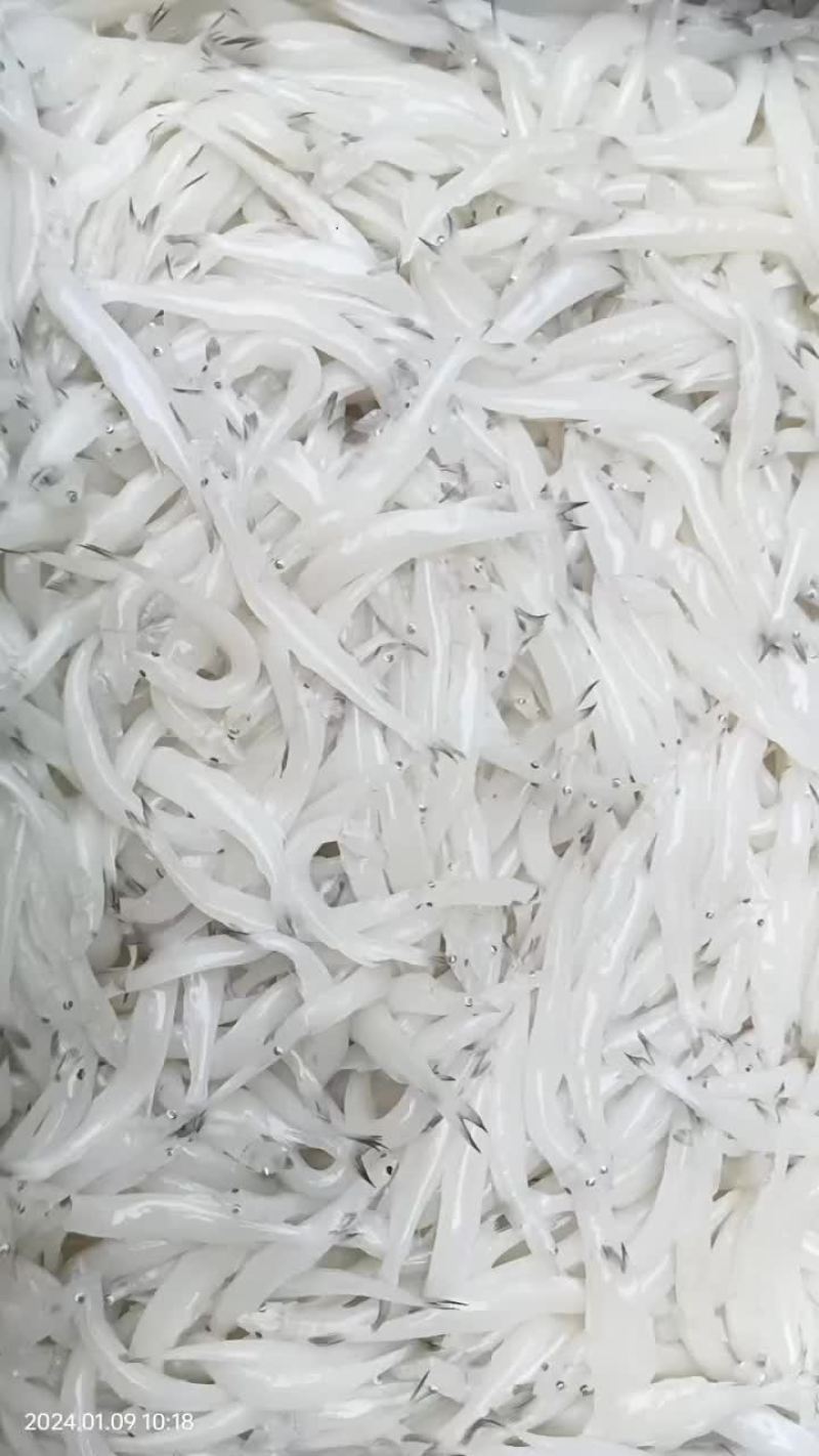 解冻质量嘎嘎好