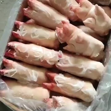 全筋前蹄