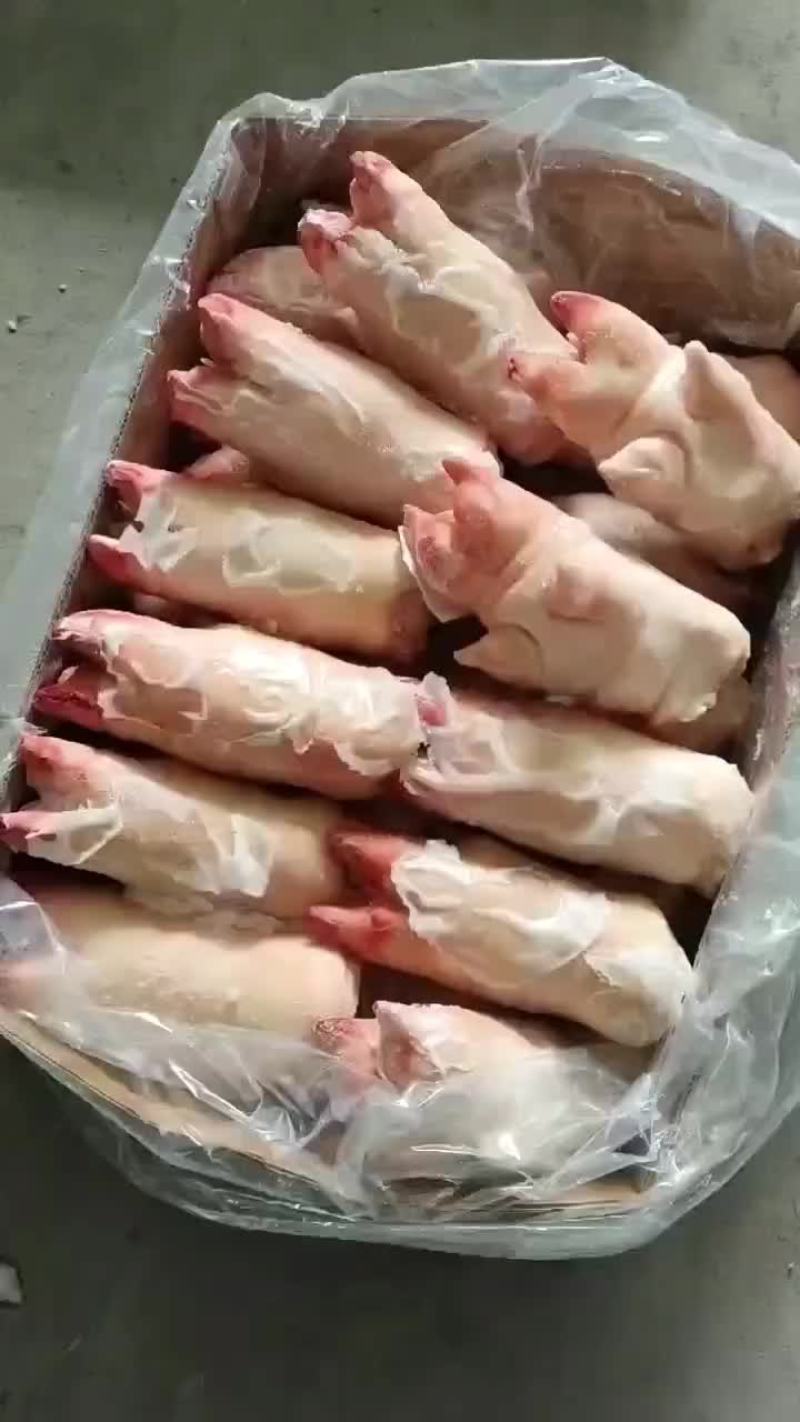 全筋前蹄