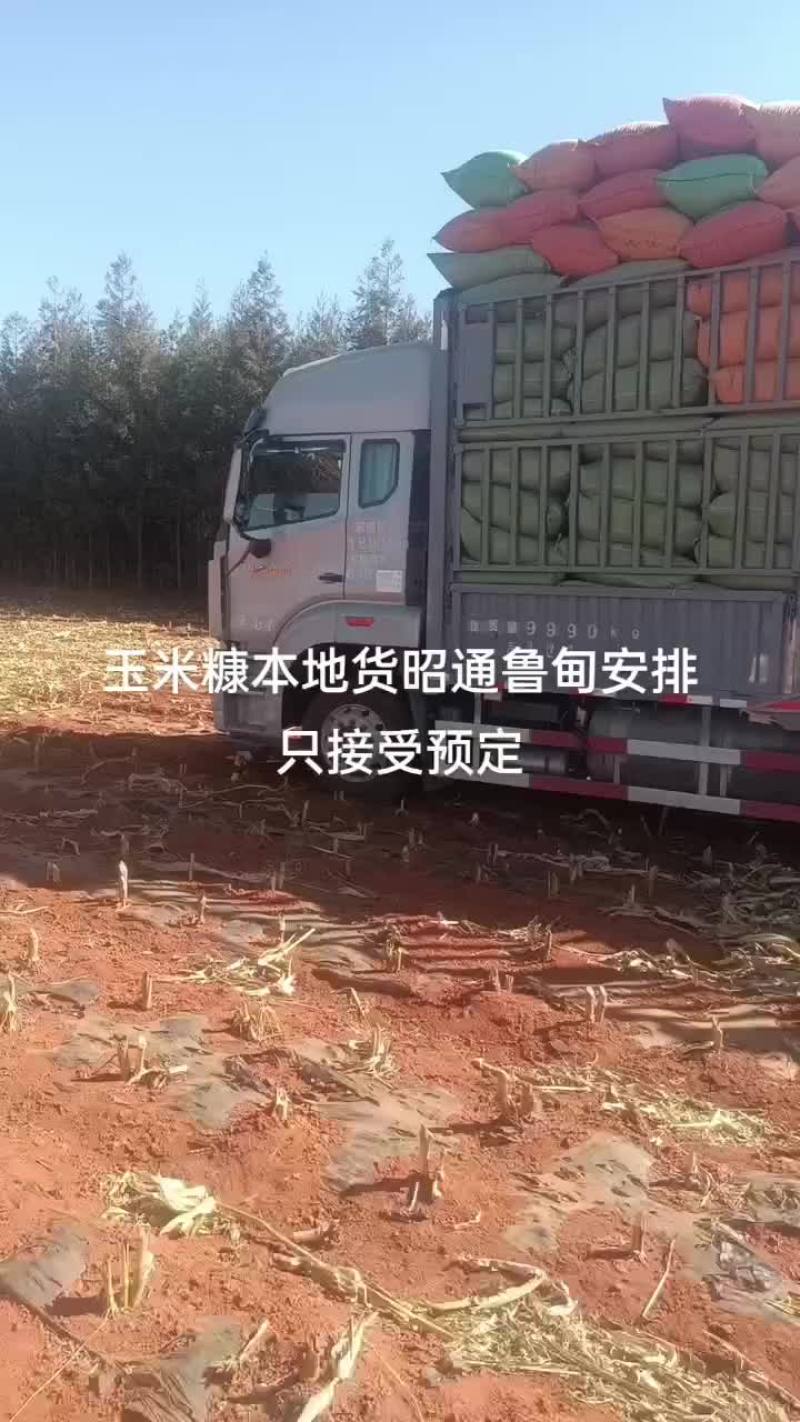 玉米糠