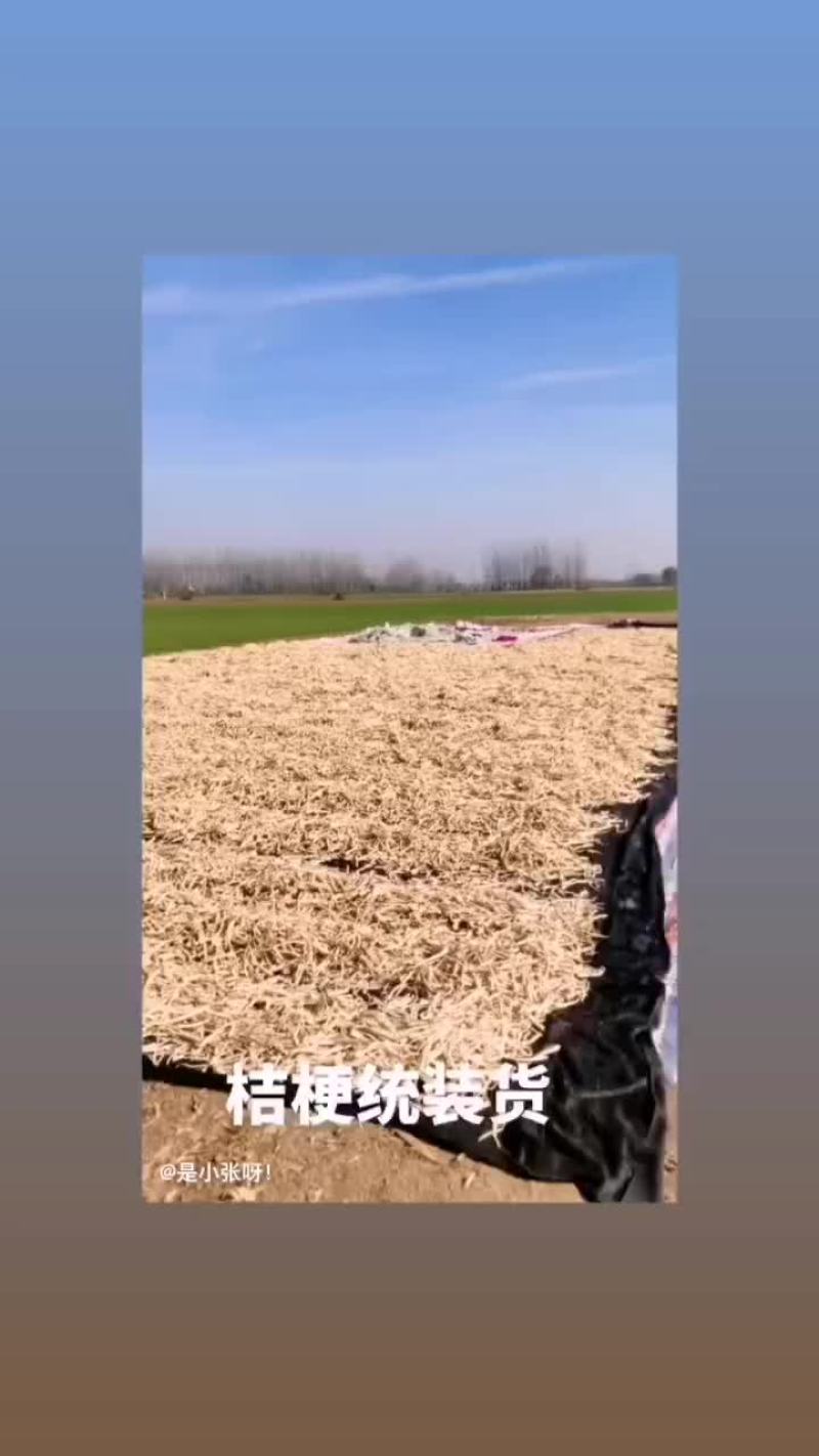 桔梗统货