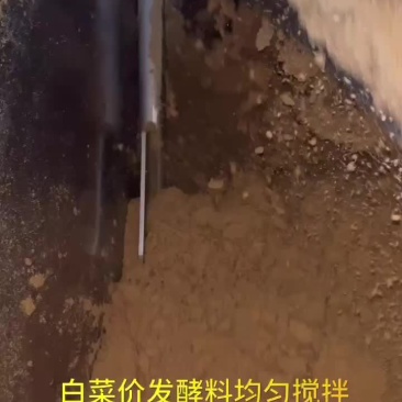 白菜价发酵料均匀搅拌#发酵饲料#发酵豆渣#猪饲料#