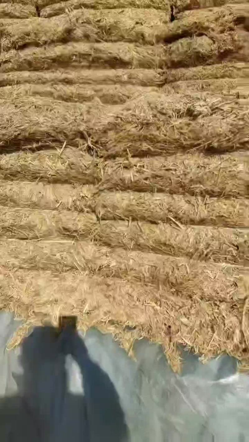 大包克拉斯铡断稻草货好价低