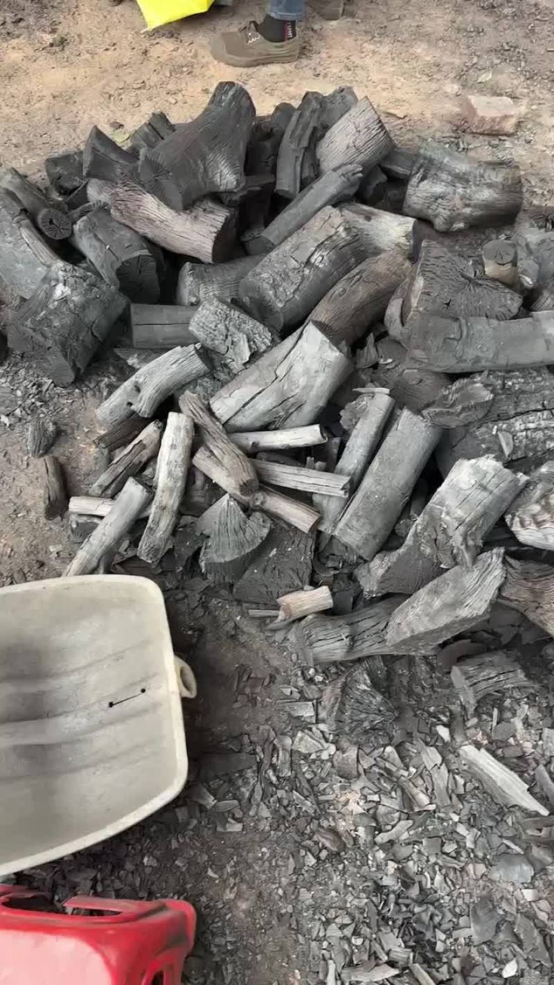 荔枝龙眼果木炭