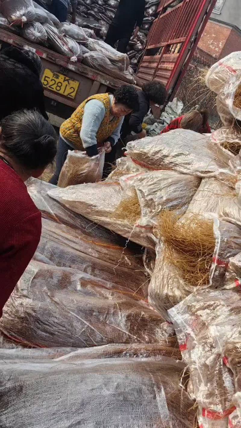 纯手工红薯粉条