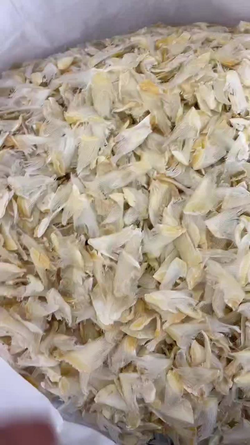 鱼翅干品