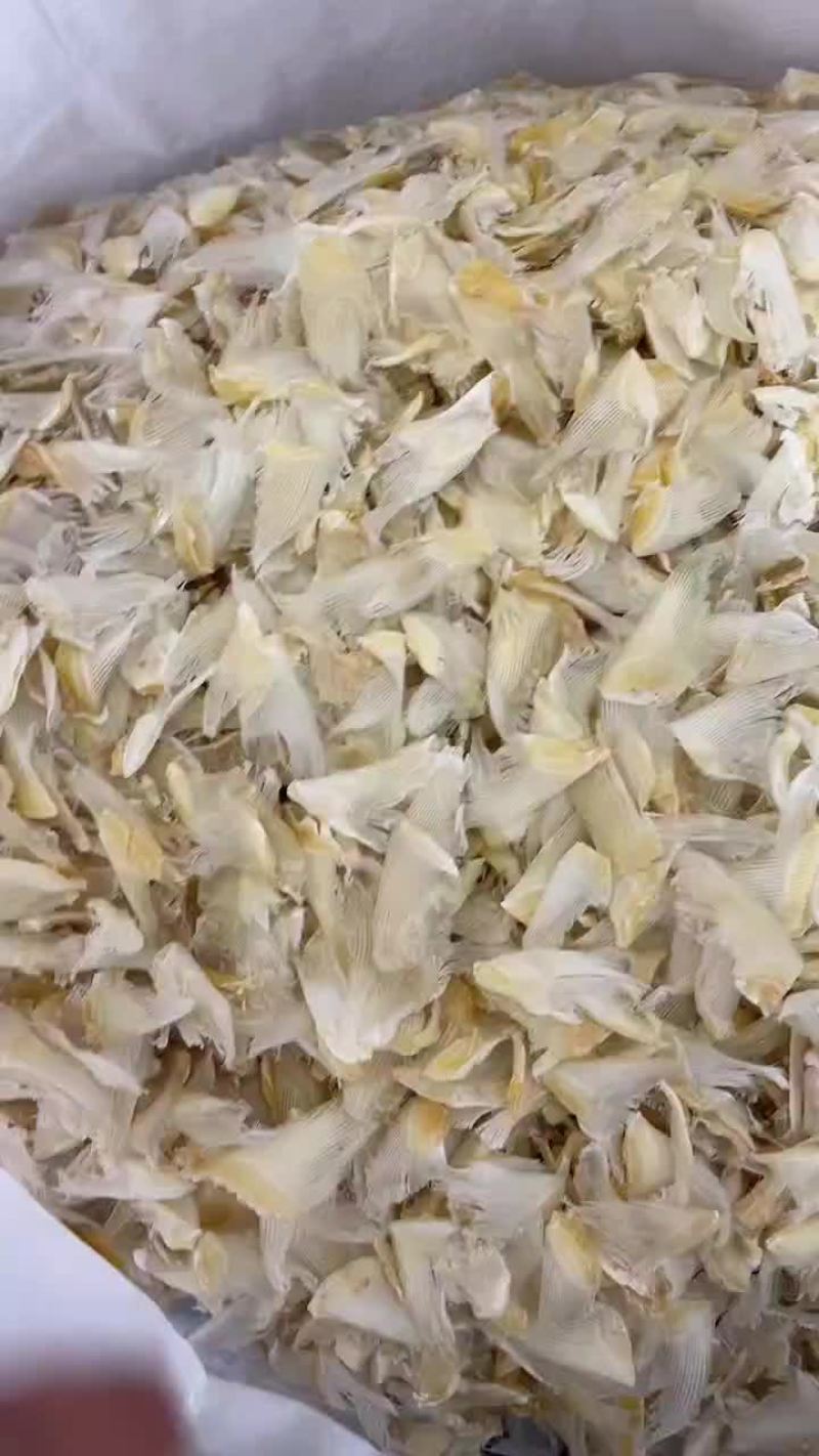 鱼翅干品