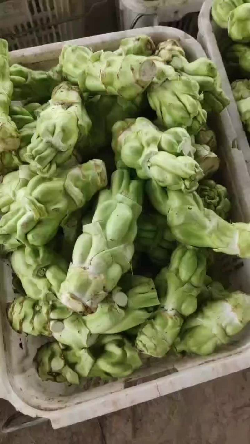 涪陵榨菜