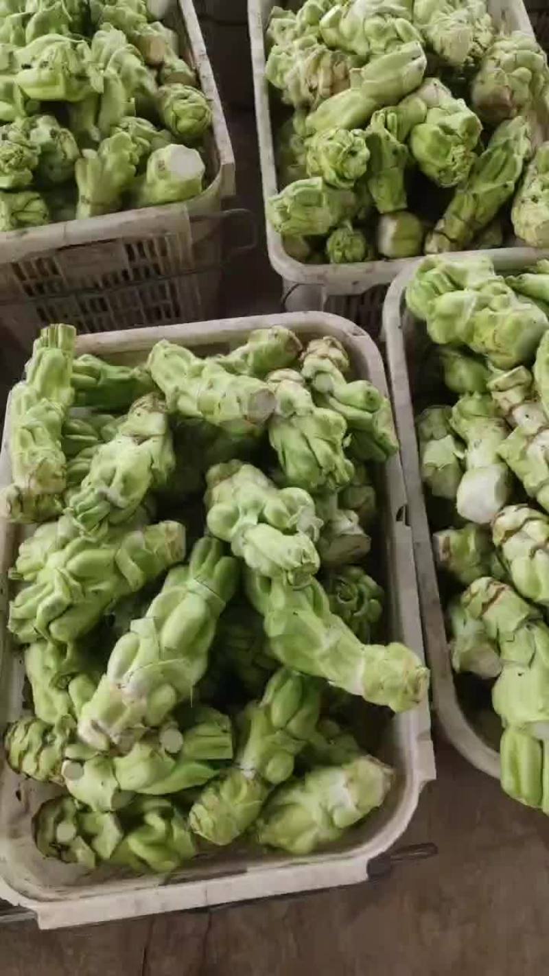 涪陵榨菜