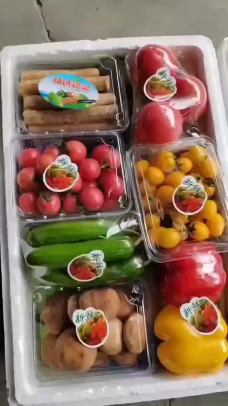 精品蔬菜套盒