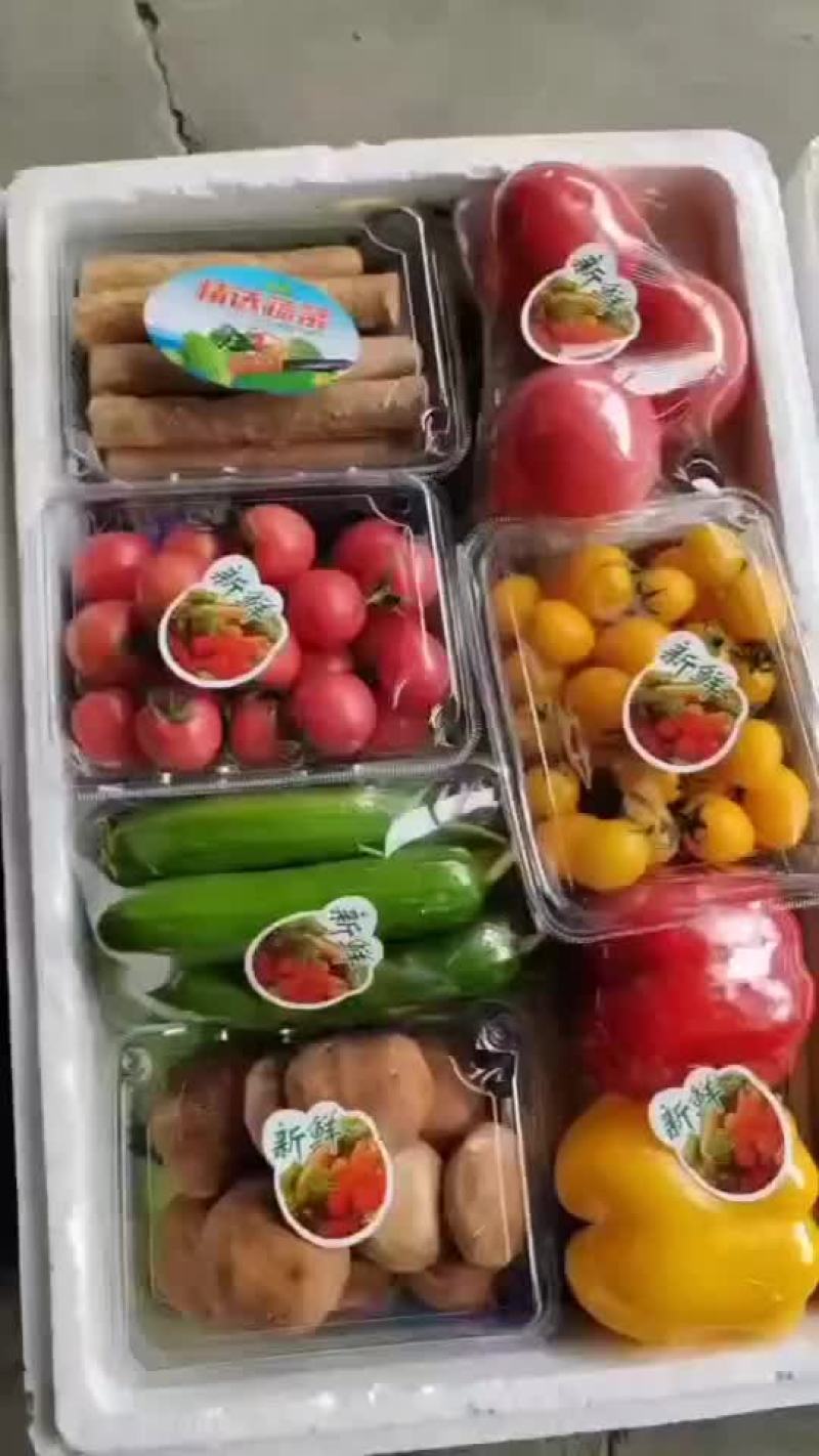 精品蔬菜套盒