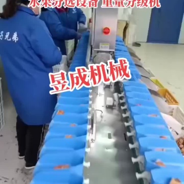 水果分选机选果机自动选果机