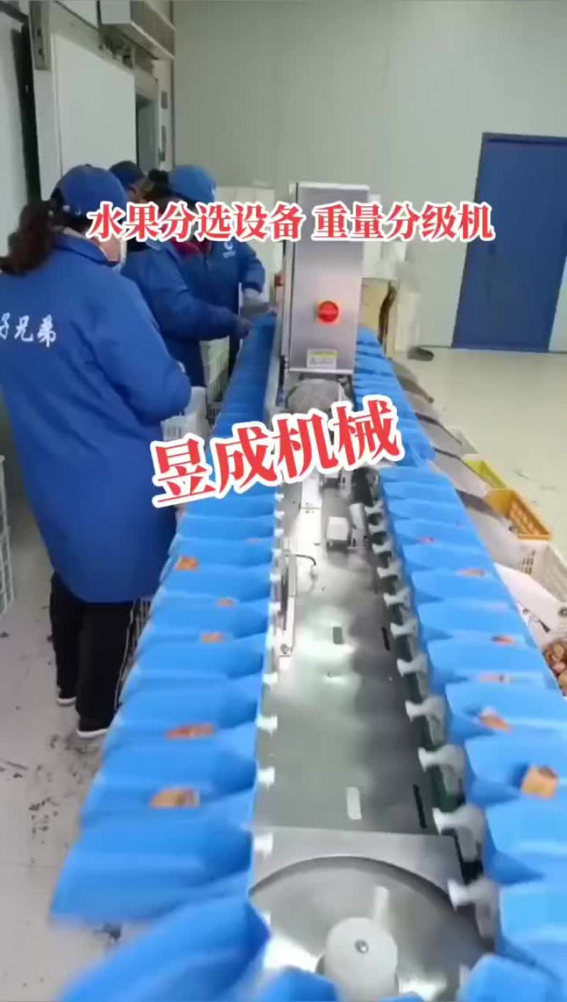 水果分选机选果机自动选果机