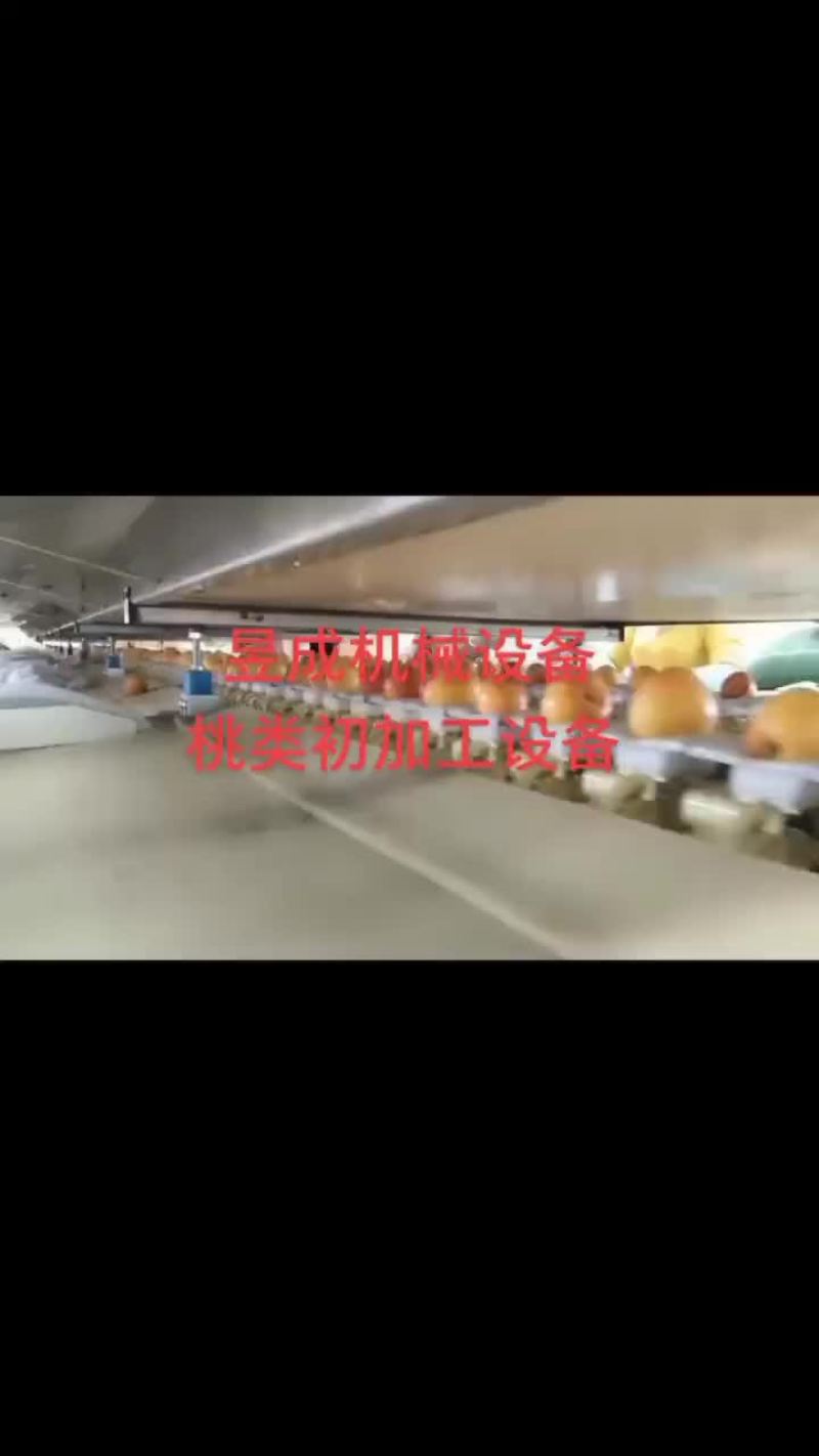 水果分选机选果机自动选果机