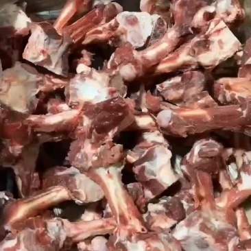 羔羊羊棒骨多肉
