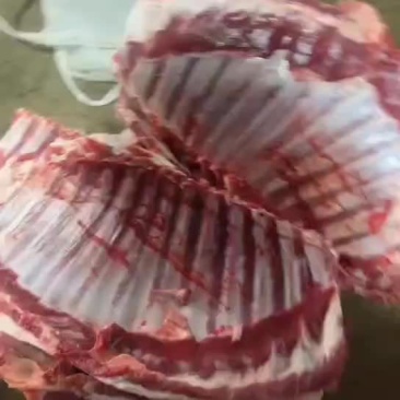精品小羊排