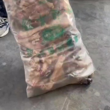 精品小花蹄