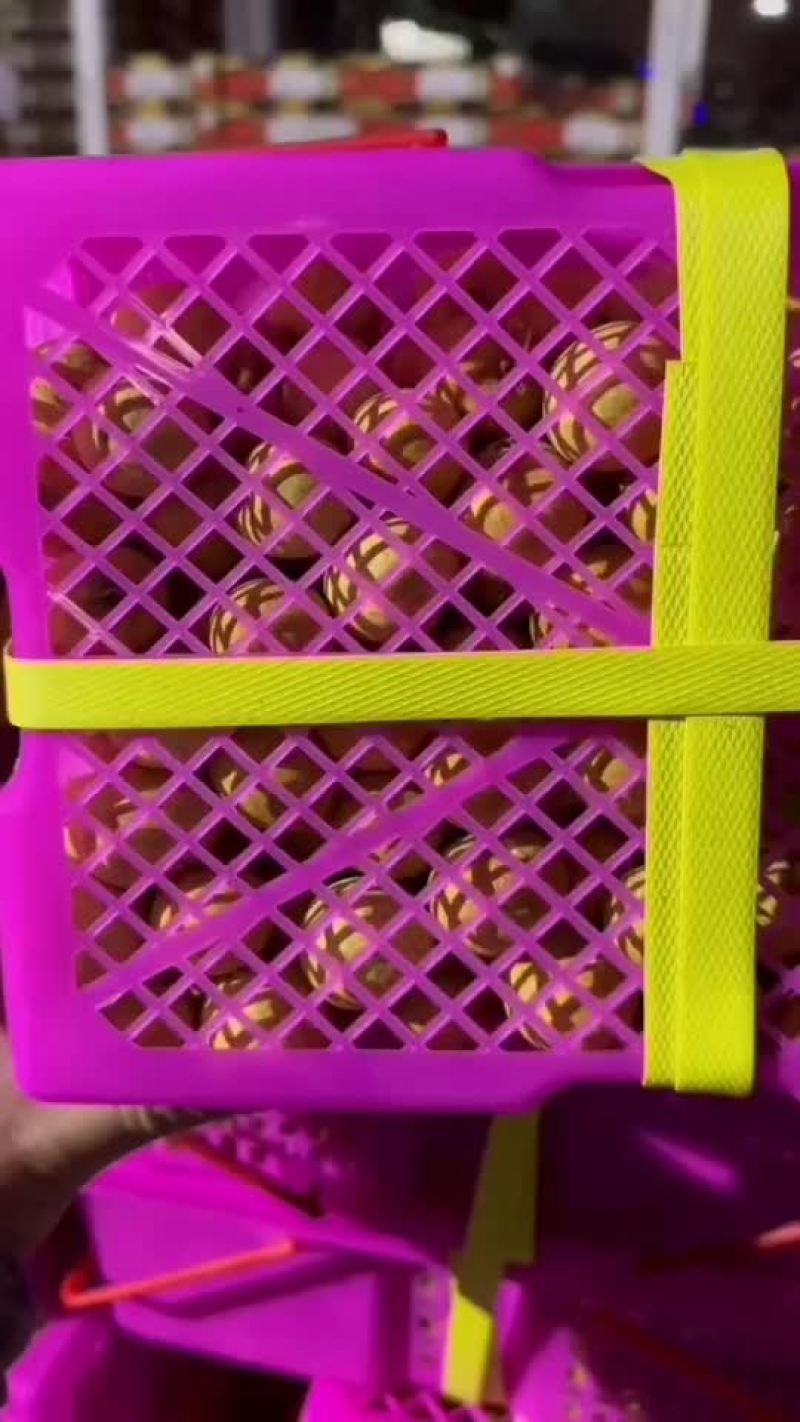 泰国龙眼精品二合一