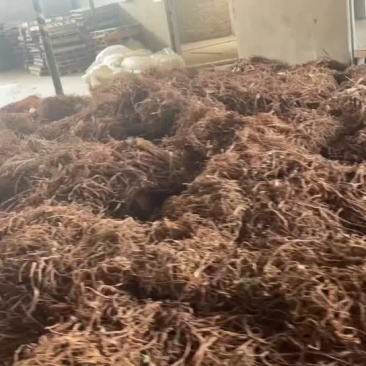 桑白皮，投料货