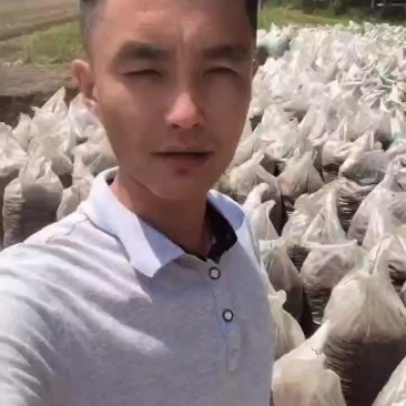 兔粪装车优质有机肥