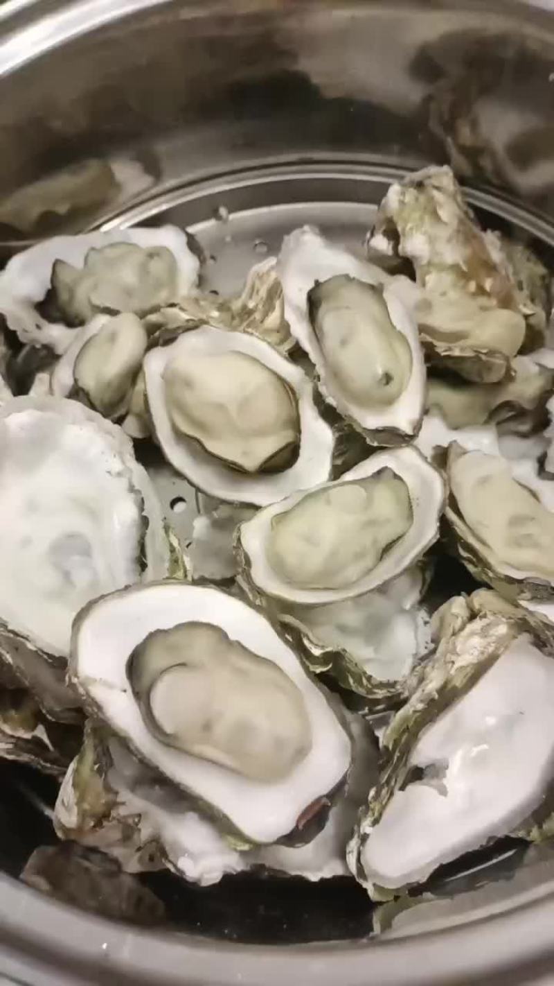 红岛海蛎子生蚝