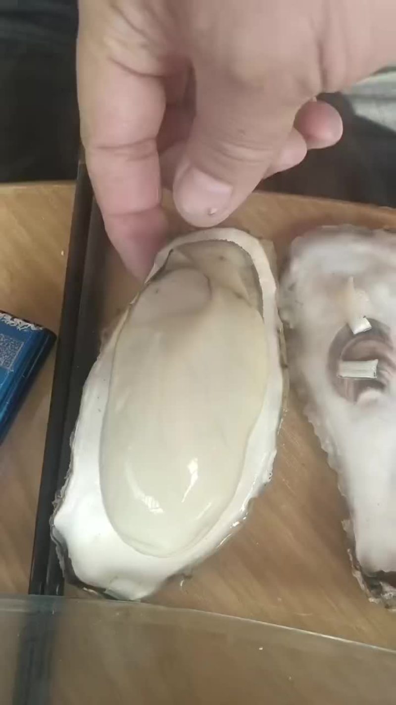 红岛海蛎子生蚝