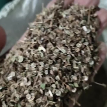 今天1月20号。河南的客户订购的百花前胡种子。96斤。