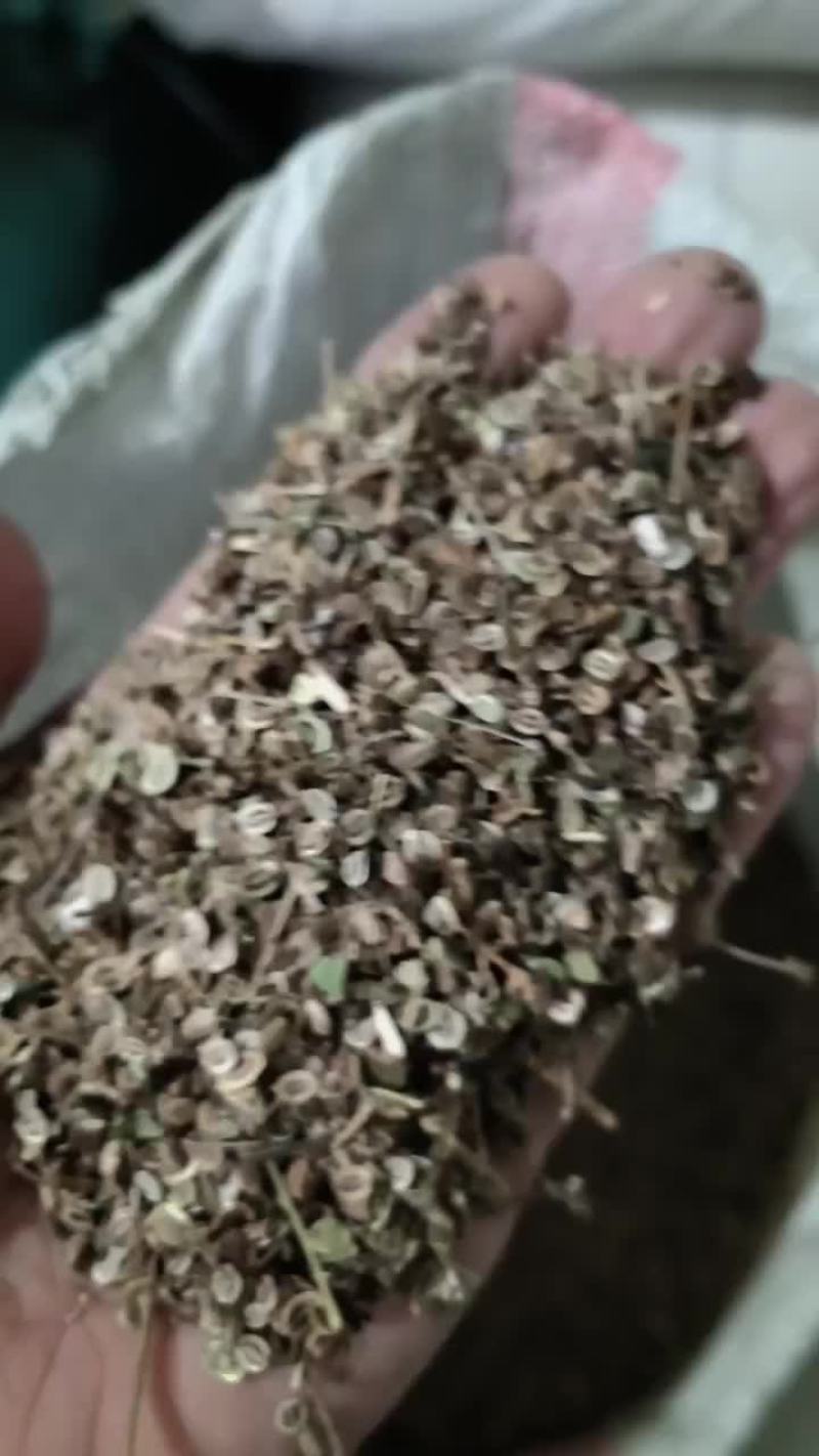 今天1月20号。河南的客户订购的百花前胡种子。96斤。