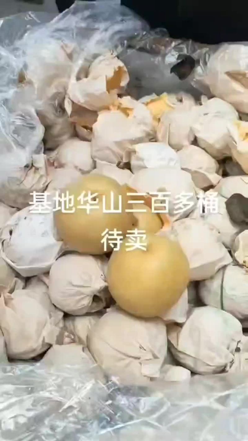 华山梨
