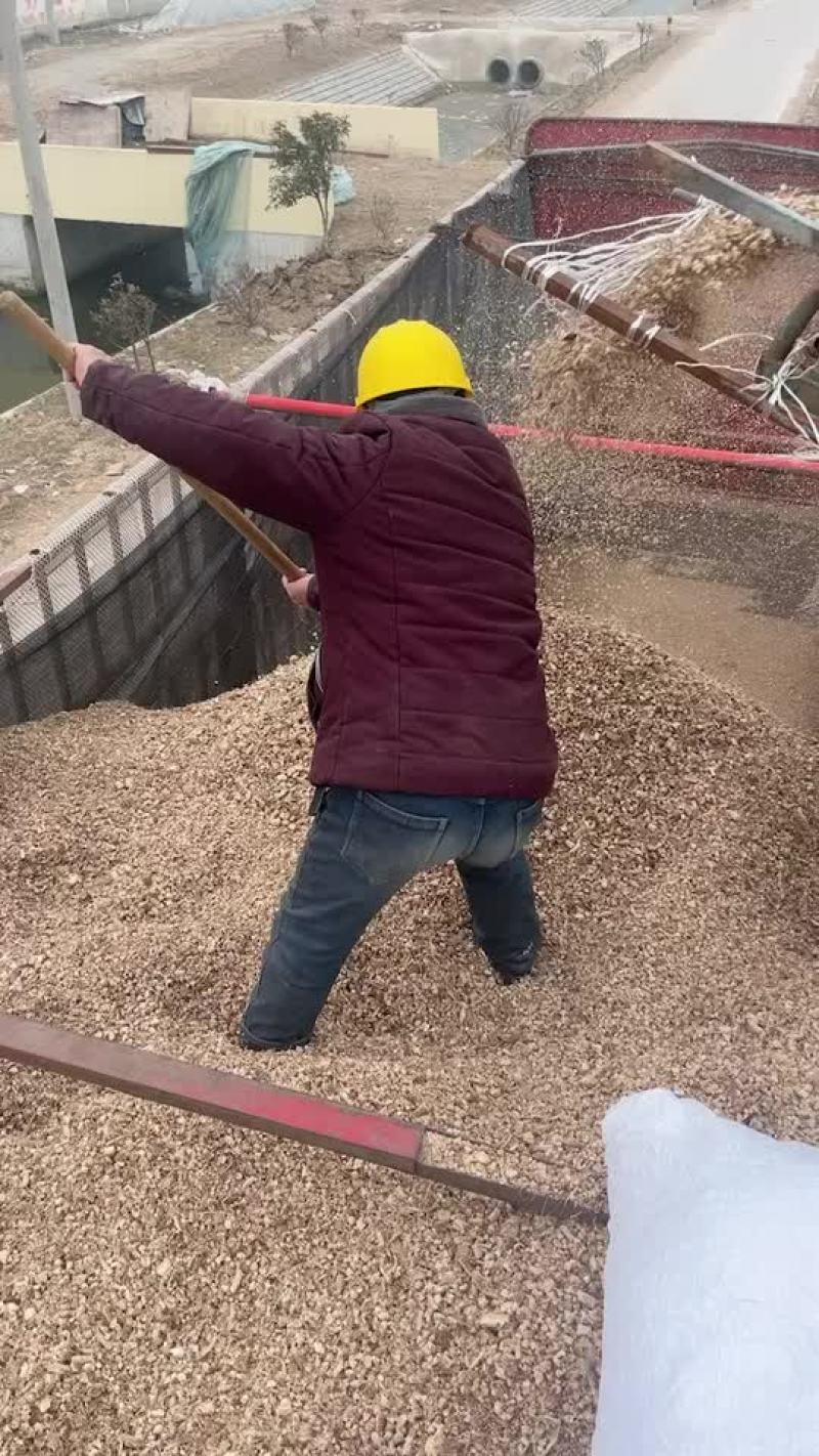 出售玉米芯颗粒