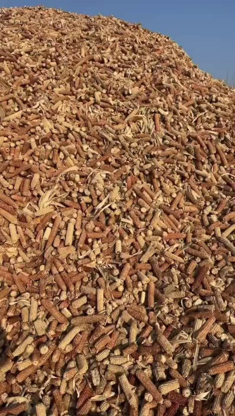 出售玉米芯颗粒