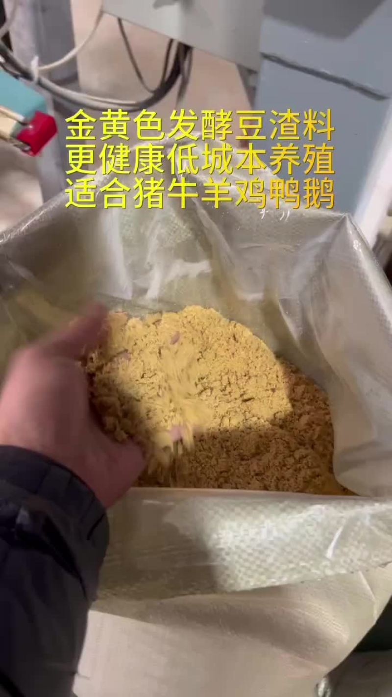白菜价发酵料均匀搅拌#发酵饲料#发酵豆渣#猪饲料#