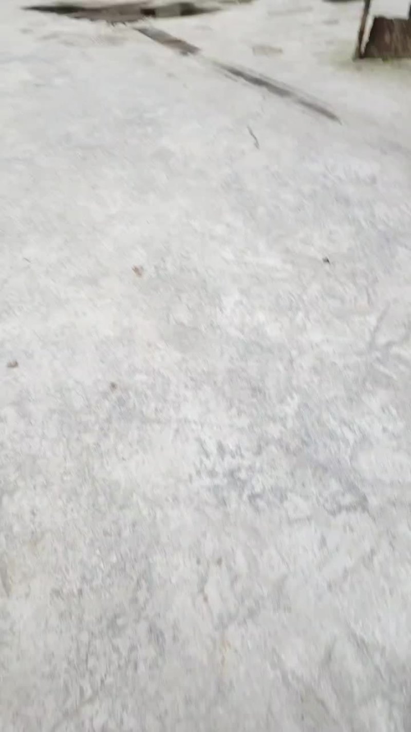 重庆涪陵垫江鲜菜头