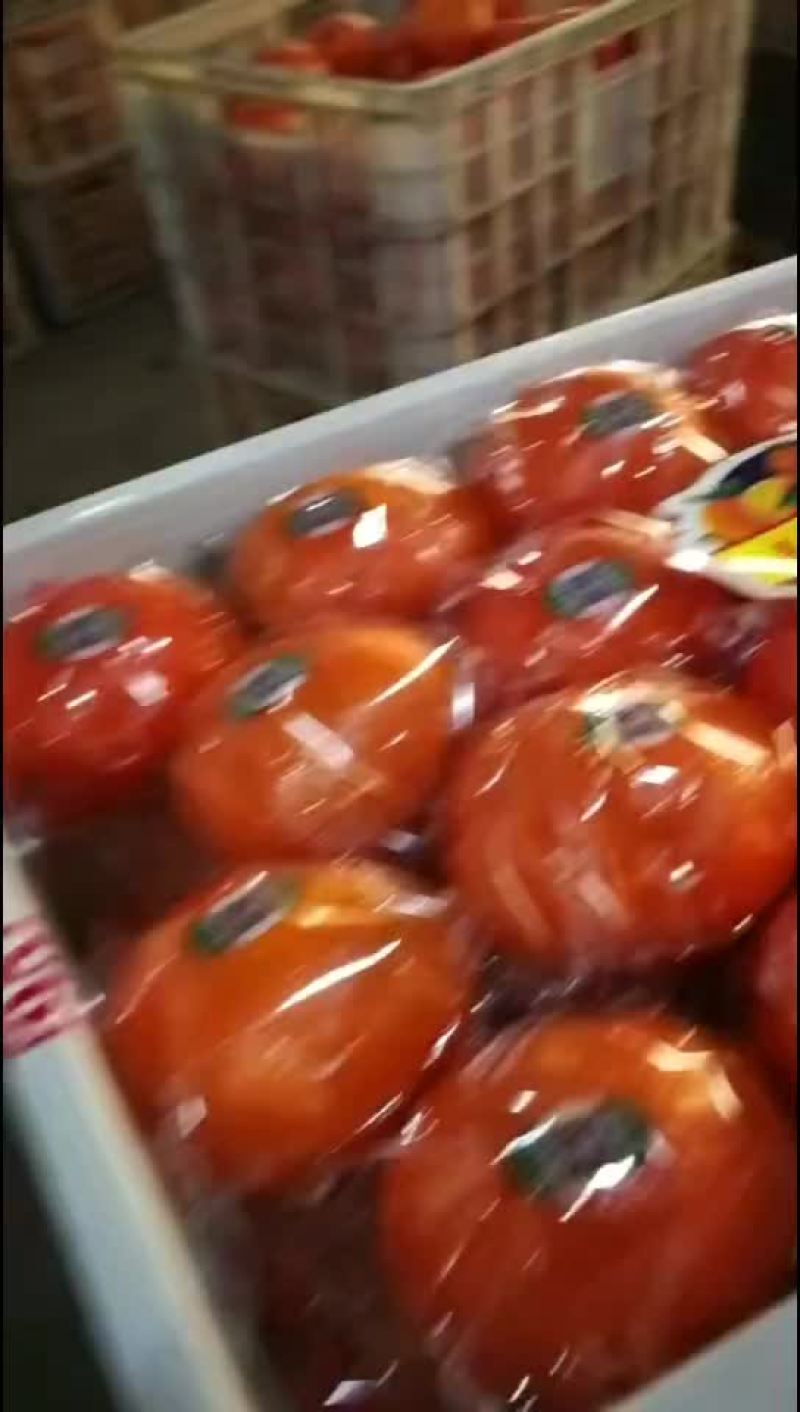 赣南脐橙，纽荷尔橙，长虹脐橙，九月红果冻橙，75蜂蜜橙，