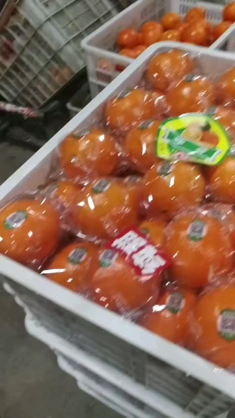 赣南脐橙，纽荷尔橙，长虹脐橙，九月红果冻橙，75蜂蜜橙，