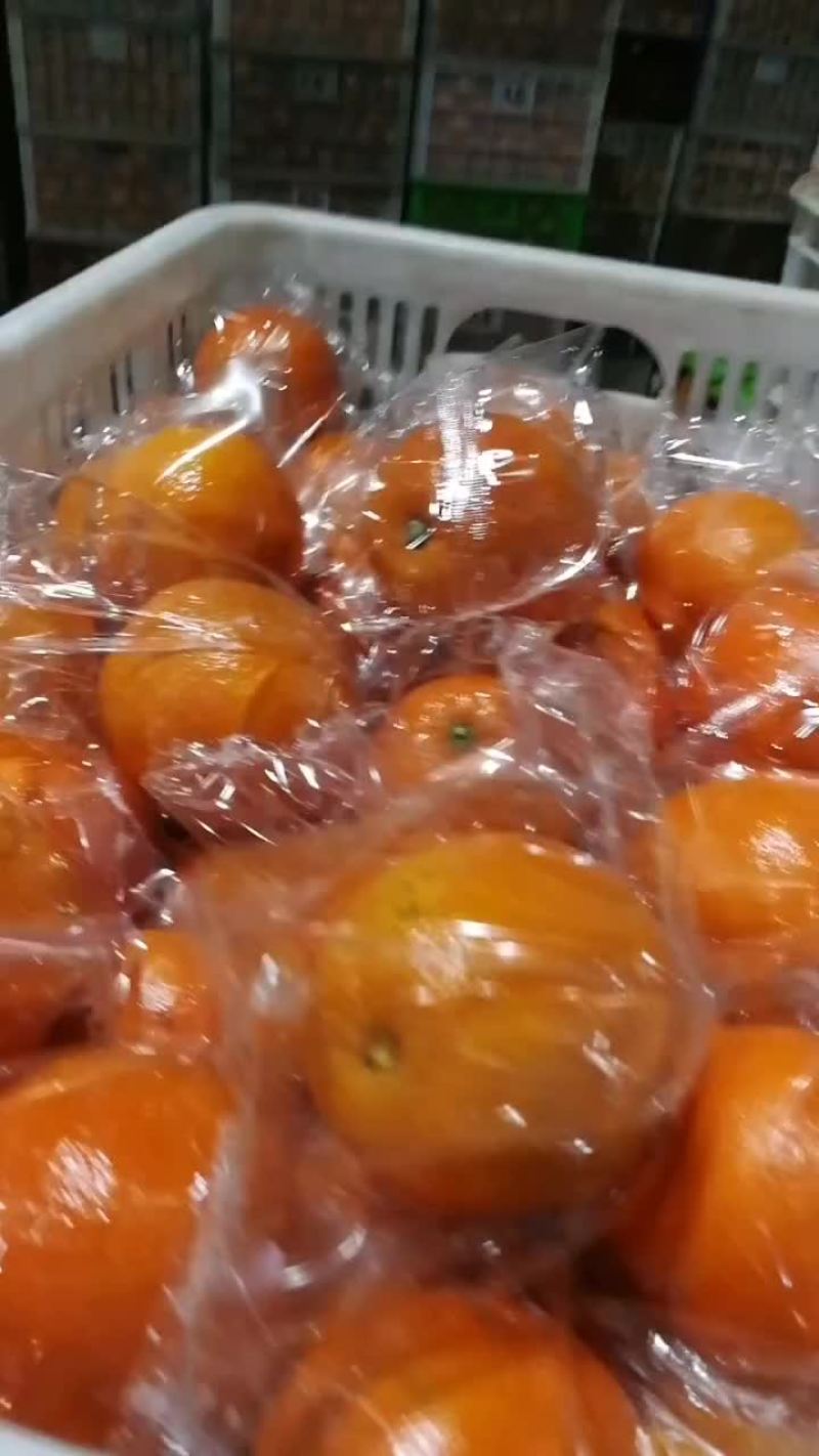 赣南脐橙，纽荷尔橙，长虹脐橙，九月红果冻橙，75蜂蜜橙，