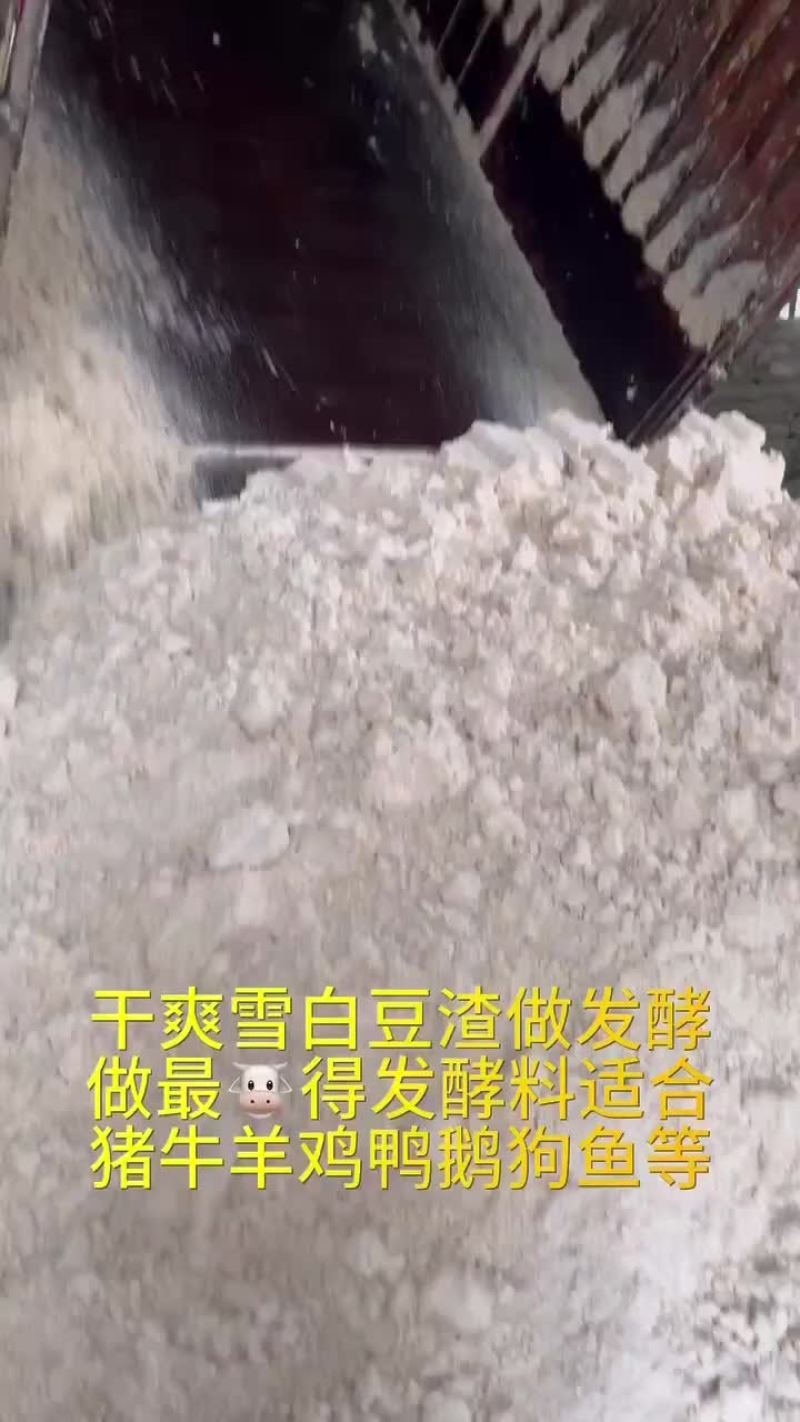纯豆渣及发酵料白菜价日夜加班大家都不易#豆腐渣#发酵饲